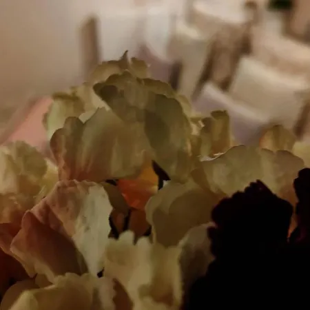 Bed & Breakfast Les Reves D'eglantine Et D'augusta Et